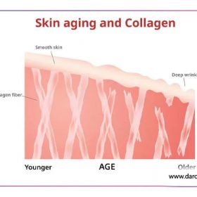 کلاژن چیست و چگونه کلاژن سازی به پوست خود کمک میکنه؟